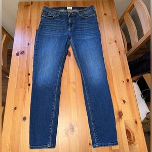 Hudson Jeans Krista Super Skinny in Dark Blue